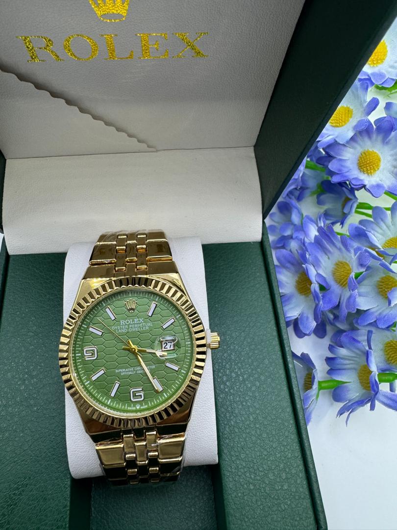 Rolex Oyster Perpetual Land-Dweller Watch